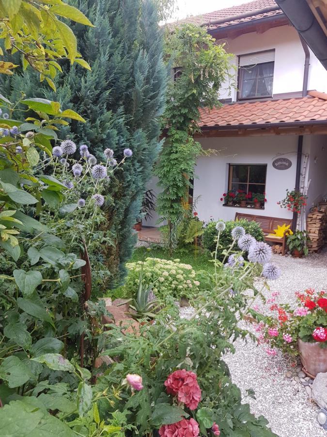 Gastezimmer Nahe Wesslinger See エクステリア 写真